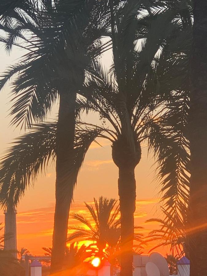 Appartement Palmeras Puerto Paraiso Estepona Eksteriør billede