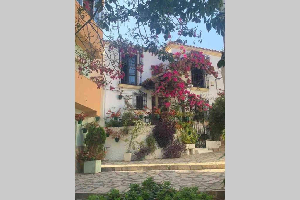Appartement Palmeras Puerto Paraiso Estepona Eksteriør billede